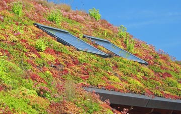 Whimble living roof systems